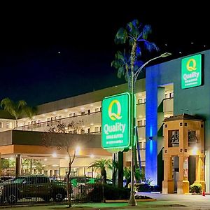 Quality Inn & Suites Los Angeles Airport - Lax